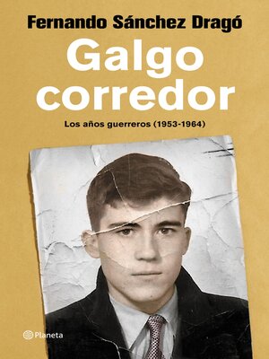 cover image of Galgo corredor
